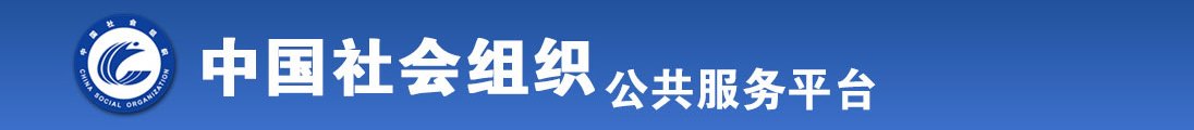 肏美女全国社会组织信息查询